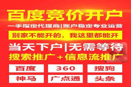 代理开户服务在海外投资中的应用案例